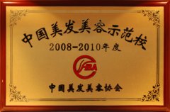 2008—2010年度中国美发美容示范校